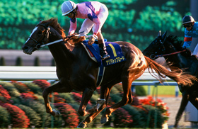 ナリタブライアン たてがみ ナリタブライアン たてがみ