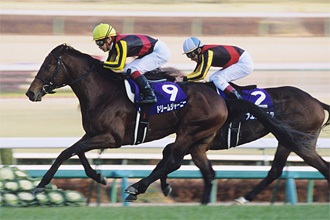 競馬】ドリームジャーニー（2009年産経大阪杯）額入りミニゼッケン
