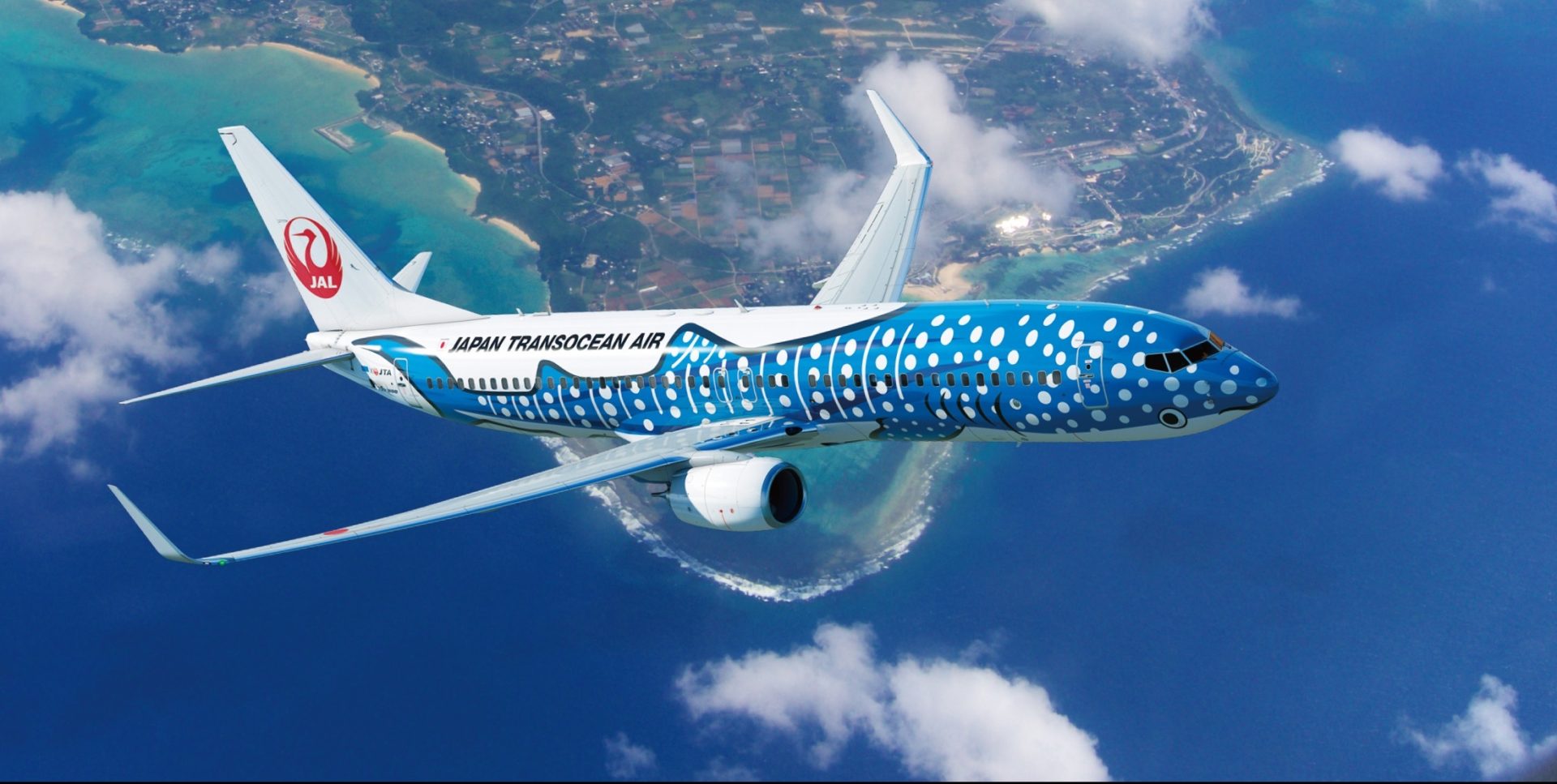 JTA B737-800 ジンベエジェット 1/130モデル 沖縄美ら海水族館