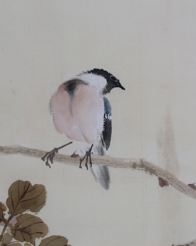 薔薇図】川上拙以 2631 バラ静物 共箱二重箱 掛け軸 肉筆 【公式通販】