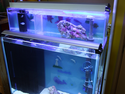 V3ポンプ付スレンダー900水槽オーバーフローかんたん2段式新品