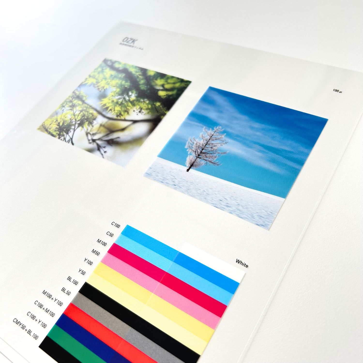 無色透明 カード検索 ｜ Z/X - Zillions of enemy X - ゼクス公式サイト