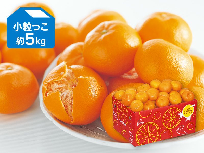 みかん様 みかんページ みかん様 ミカン様 ミカン様 蜜柑様 レビュー】ZX