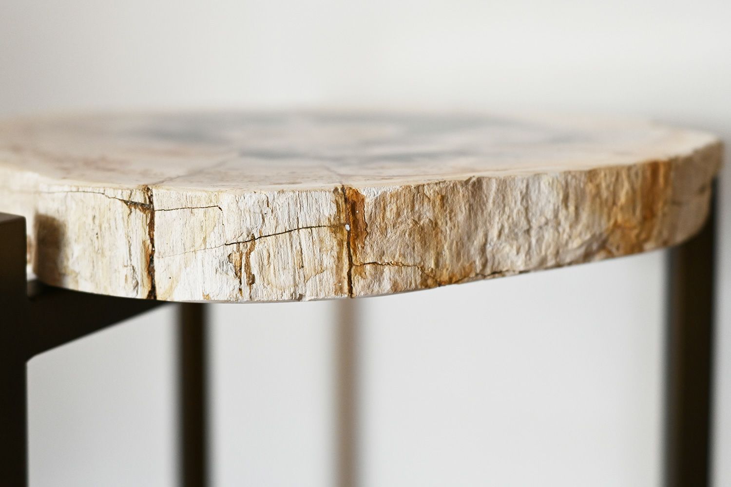 自然の美と現代的なデザインを組み合わせた 木化石 サイドテーブル(H45)