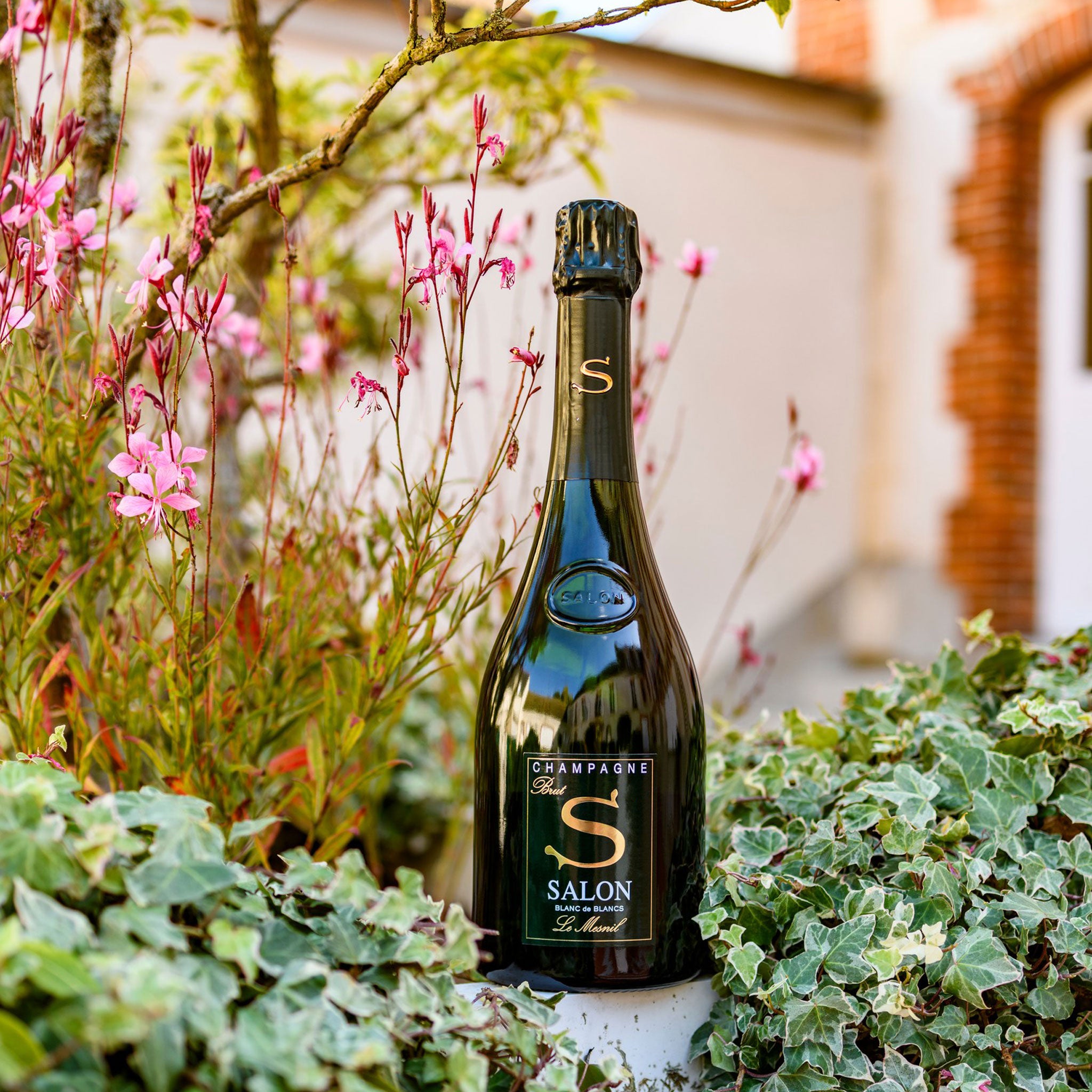 サロン ブラン ド ブラン 2007 箱無し シャンパーニュ】サロン ブラン