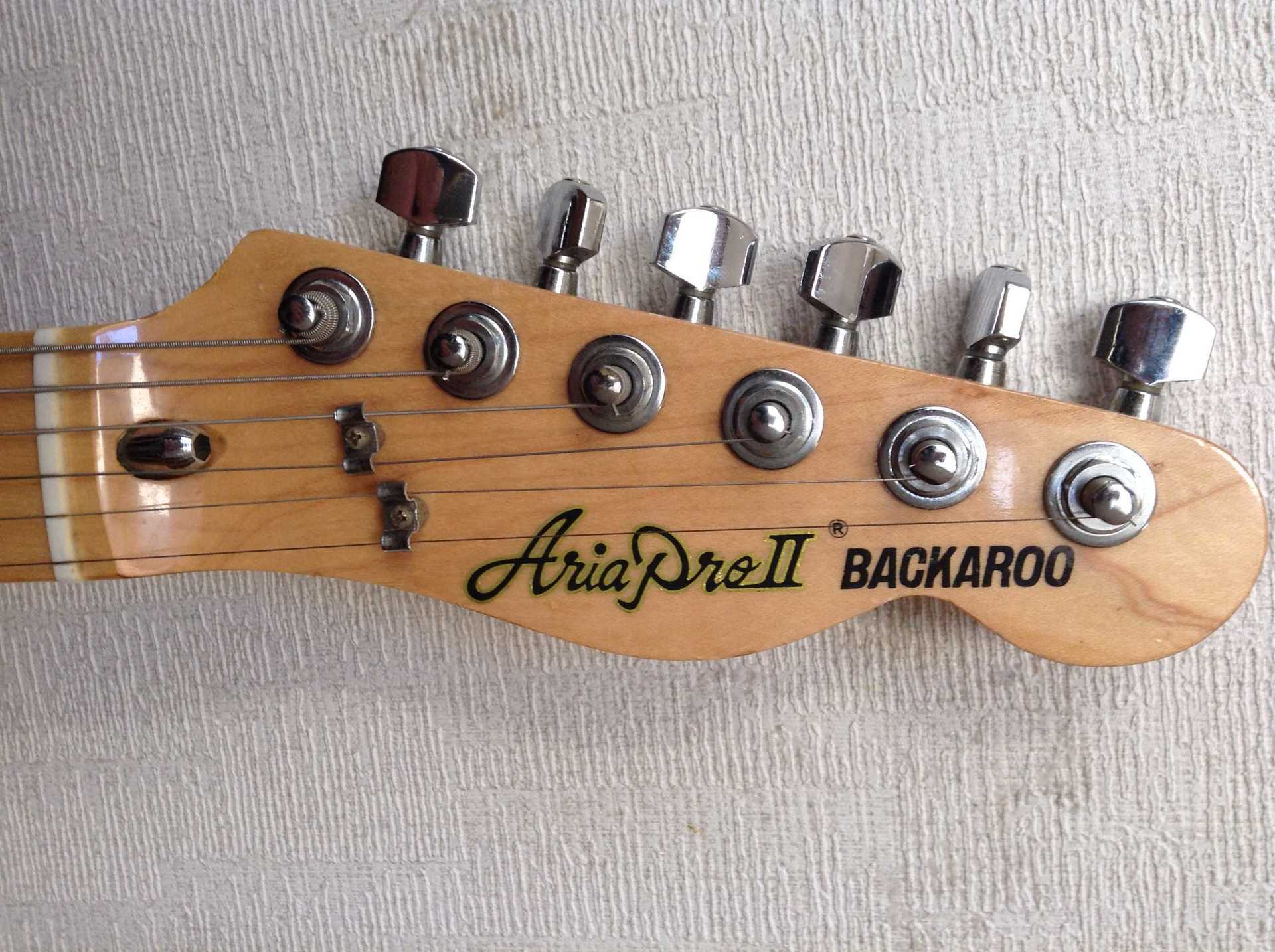 かにさんデラックス 1976年Aria Pro II TE-500N かにさんデラックス