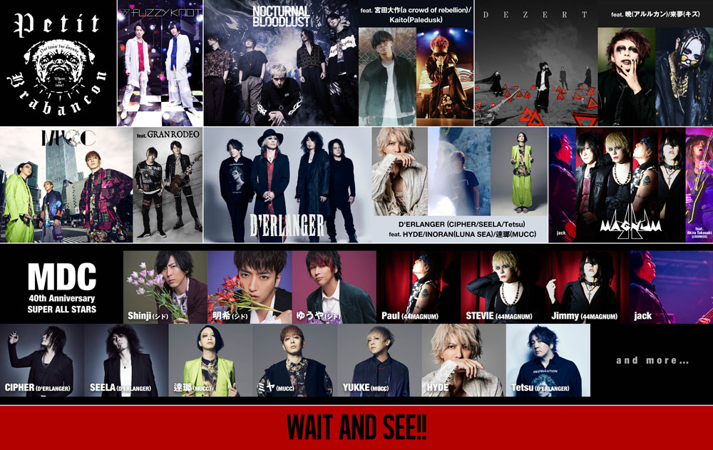 キズ ストロベリー・ブルー 会場購入特典フォト全20種 キズ