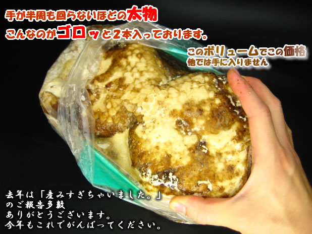 クワガタの産卵に有効な【菌糸カワラ材】販売 送料格安
