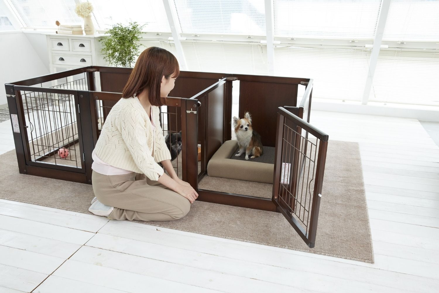 セール][サークルプラスツードアF60Lpメッシュ] ふたつのお部屋に