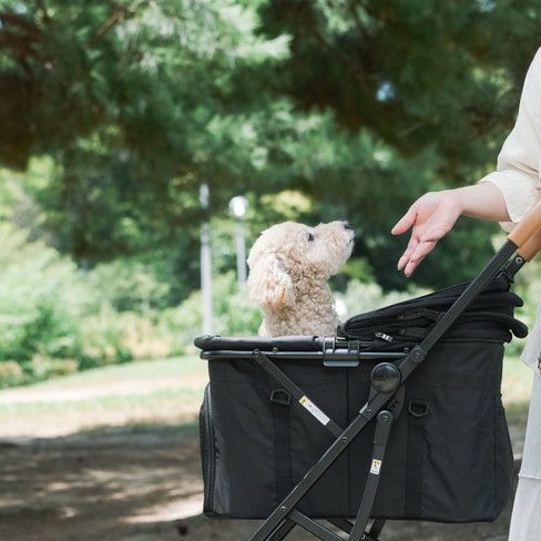 2WAY ペットカート ブラック | KISSBABY
