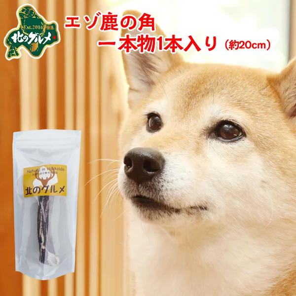エゾ鹿のツノ 20本 Sushiエゾシカのツノ20本分 エゾシカ 蝦夷鹿 鹿ツノ