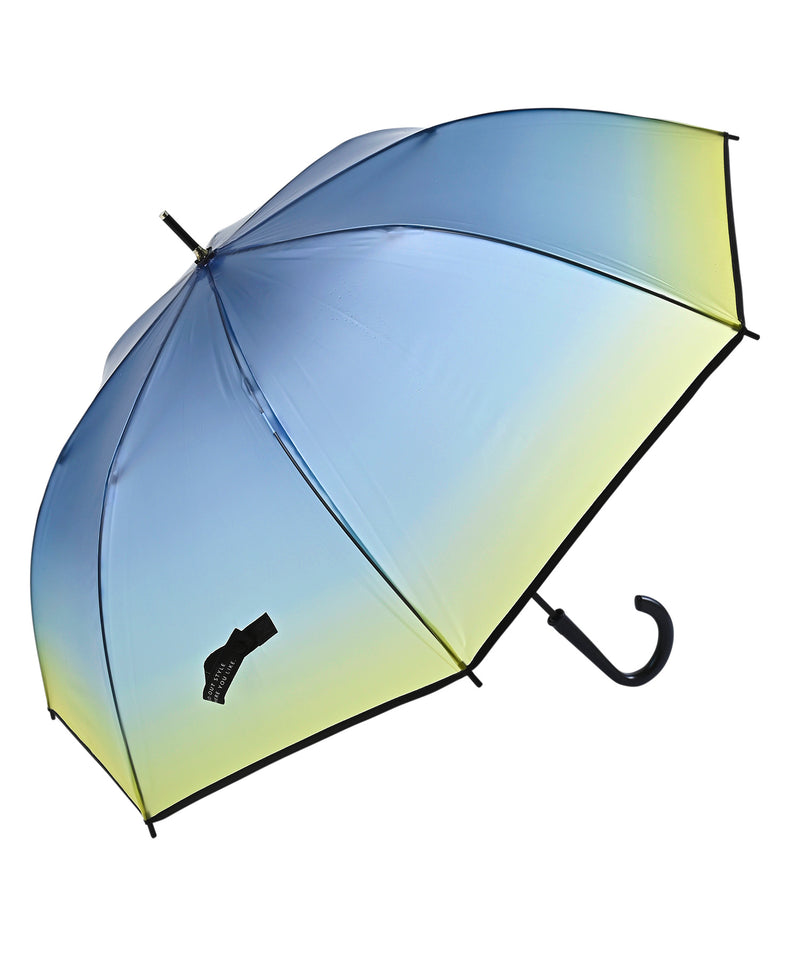 ショワジールロワ 雨降り模様のコンポティエ A ショワジールロワ