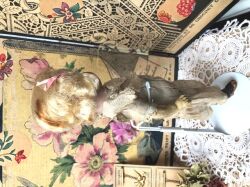 ジャーマンアンティーク アーマン・マルセイユ390のミレットサイズの