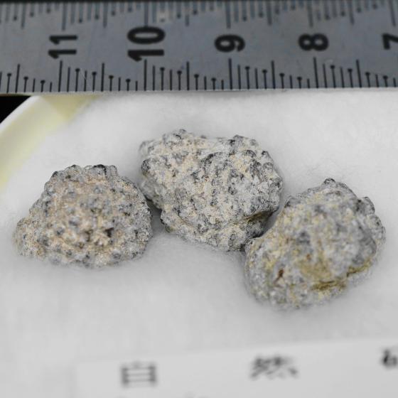 金平糖石（自然砒）（参考） 金平糖石（自然砒）（参考） 金平糖石