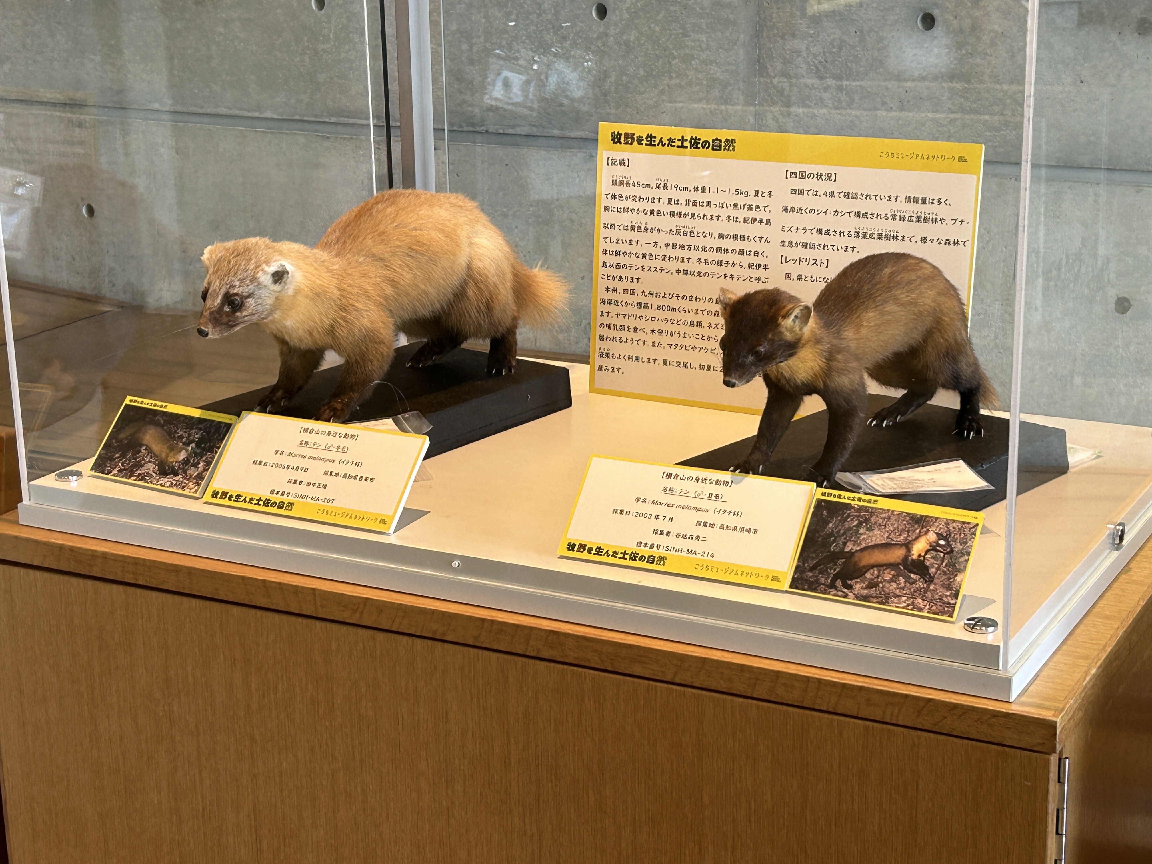 油絵（倉庫入り口） 油絵（倉庫入り口） 油絵（倉庫入り口） 油絵