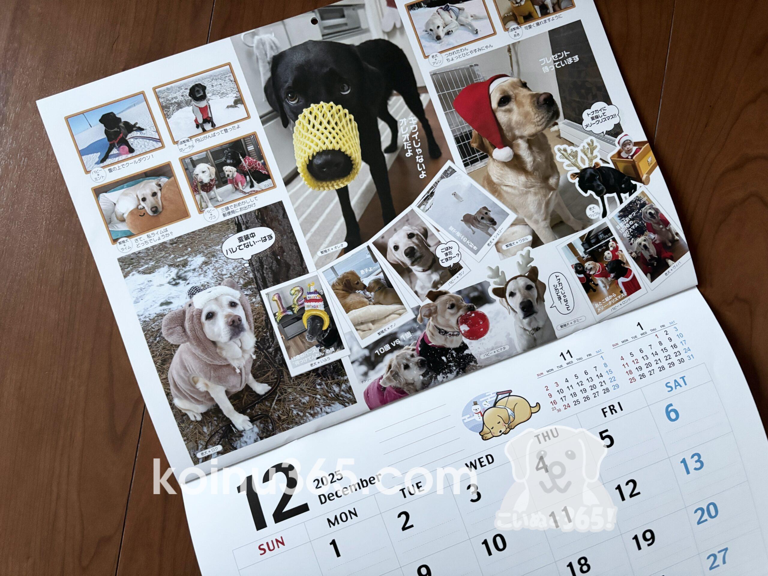 2025年版・盲導犬チャリティカレンダー | こいぬと365！｜パピー