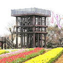 木原城 御城印 木原城山まつり限定版 | 全国御城印コレクション - 攻城団