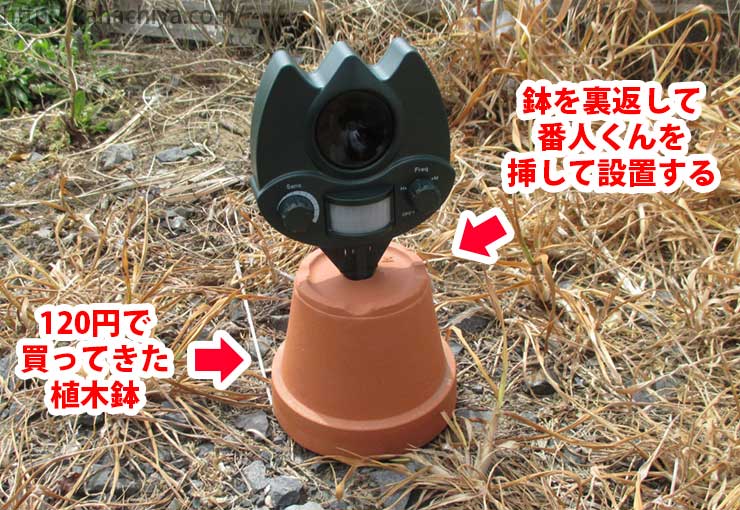 野良猫よけ「番人くん」使用レビュー！糞害を何とかしたい！ - お庭