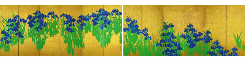 日米で咲き誇るカキツバタ・燕子花と光琳/尾形光琳・国宝燕子花図屏風