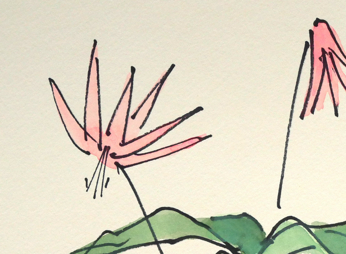 坂本直行「かたくり」水彩画・SM 絵画買取・販売の小竹美術