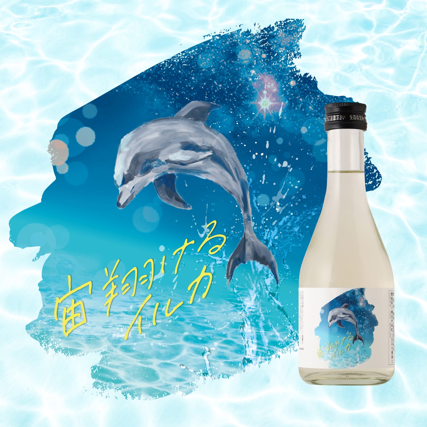 2505_sorakakeruiruka_300.jpg?v