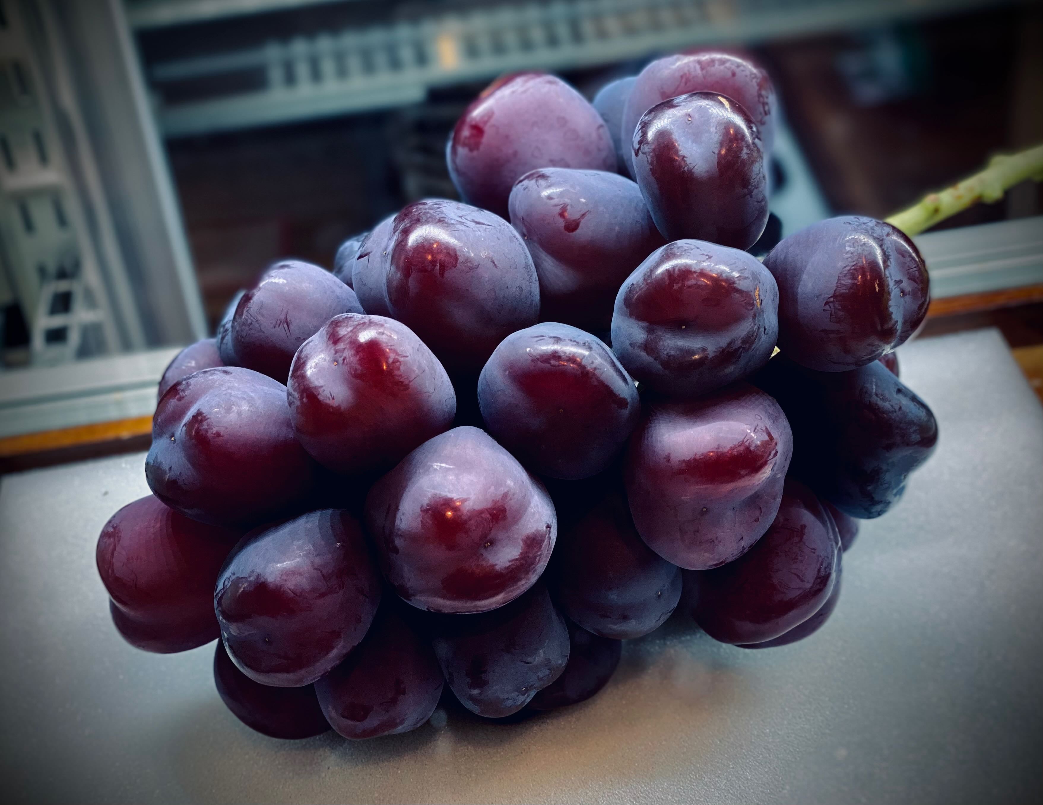 ブラックシャインマスカット『富士の輝』超希少品種！高い糖度と超大粒