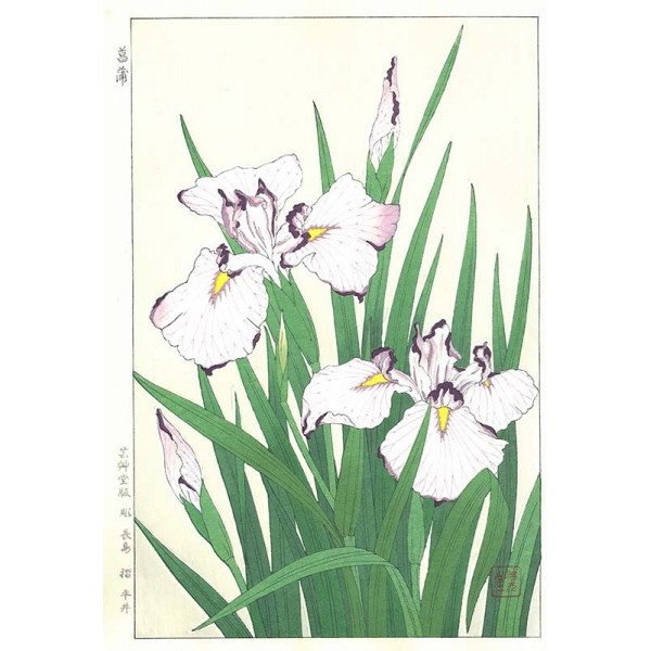 F2 菖蒲 花版画 Flower Woodcut ーIrisー | 芸艸堂 版元 | 京ものさんぽ