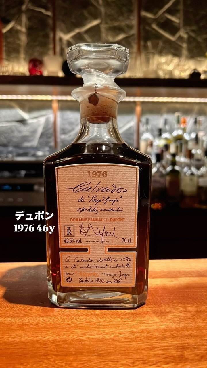 バーショーブルックラディー2006 バーショーブルックラディー2006 バー