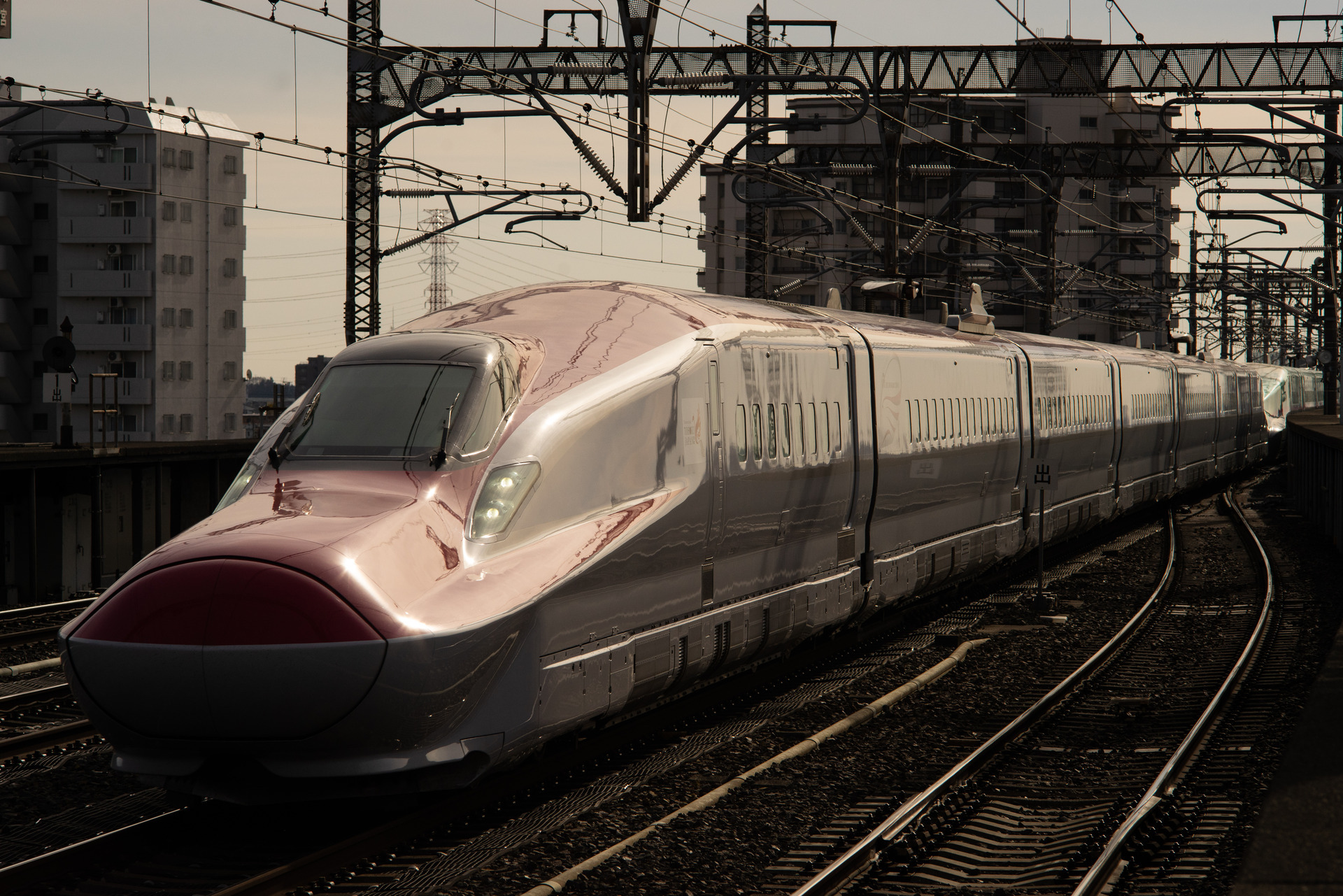 Schneider-Kreuznach Tele-Xenar 135mm F3.5 作例 | Baryanのおすすめ