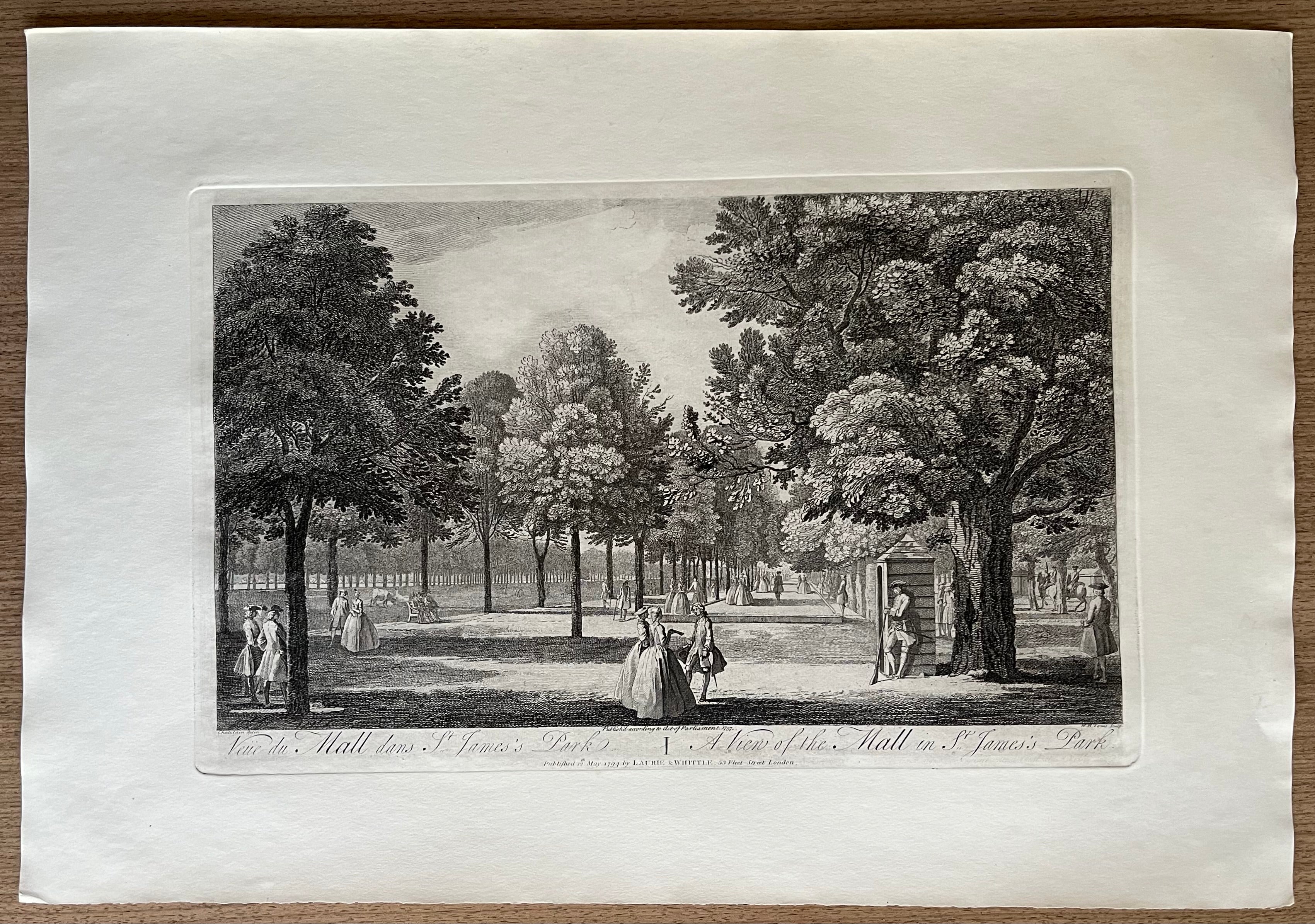 A View of St. James Park