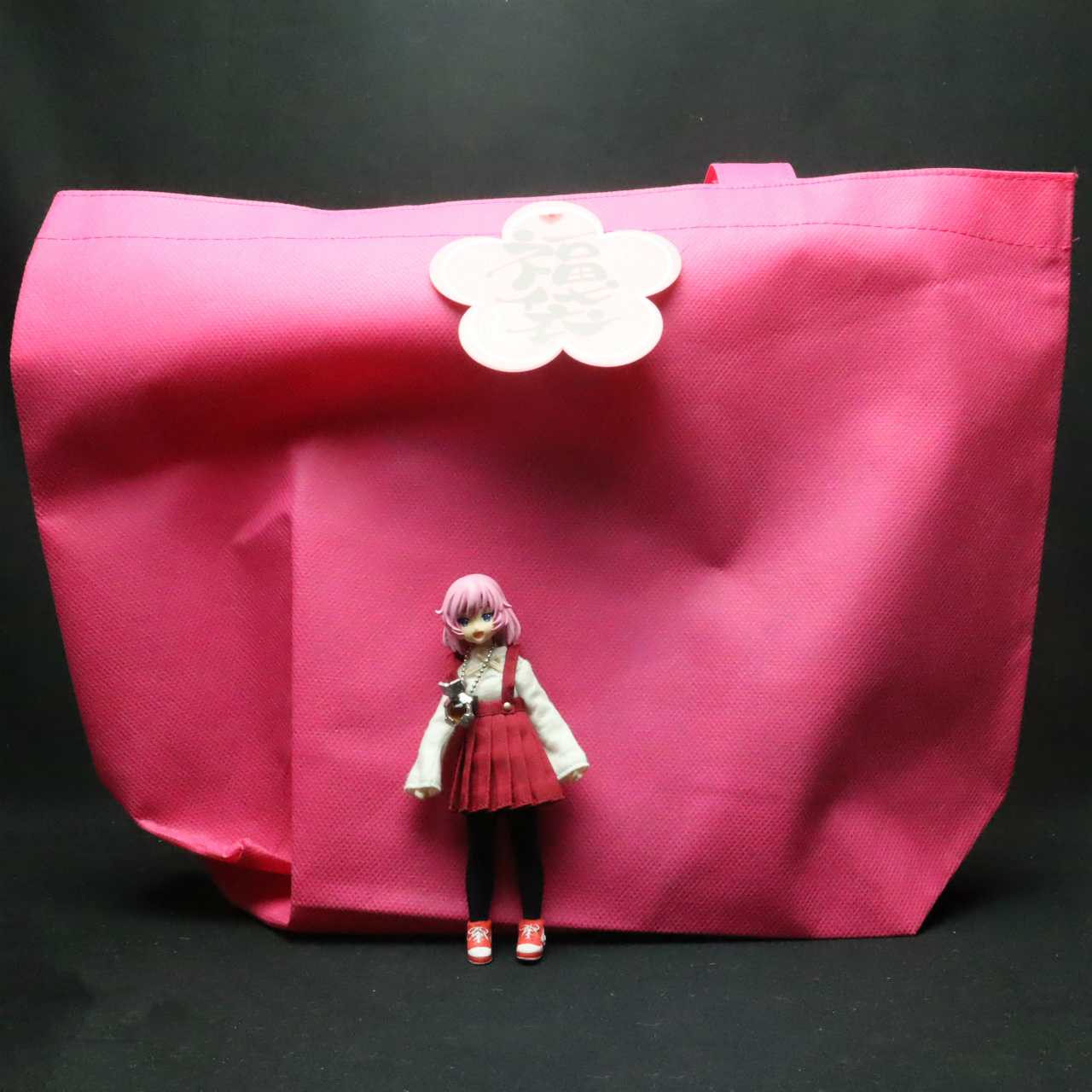 アゾンの1/12福袋と鬱袋を買ってみた in 2019 | レゴ箱 -LEGO BOX-