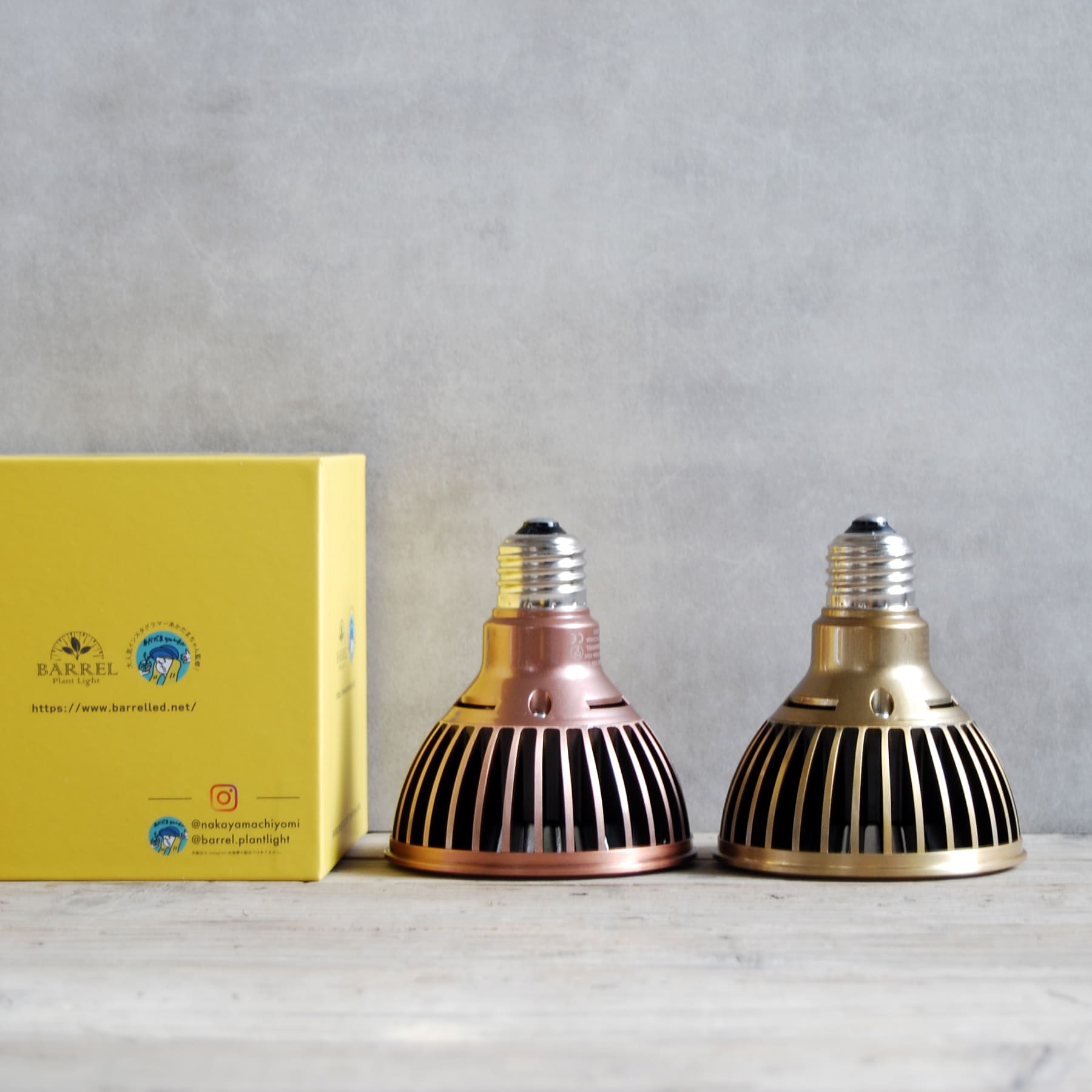 TSKUYOMI 10W ゴールド ブロンズ（ツクヨミLED 10W）AKADAMACHAN MODEL