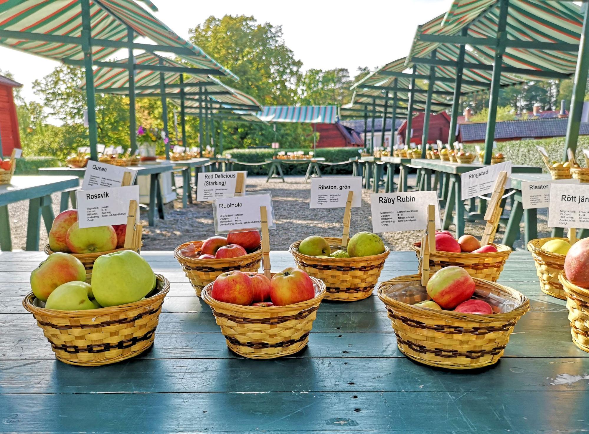 スウェーデンの暮らし】秋の味覚、りんごの祭典 Äpple Dagar