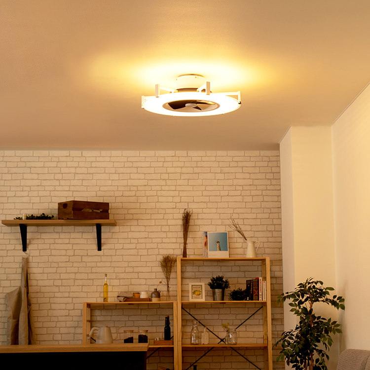 Modern Collection パネライトサーキュレーター JE-CF030 | JAVALO ELF