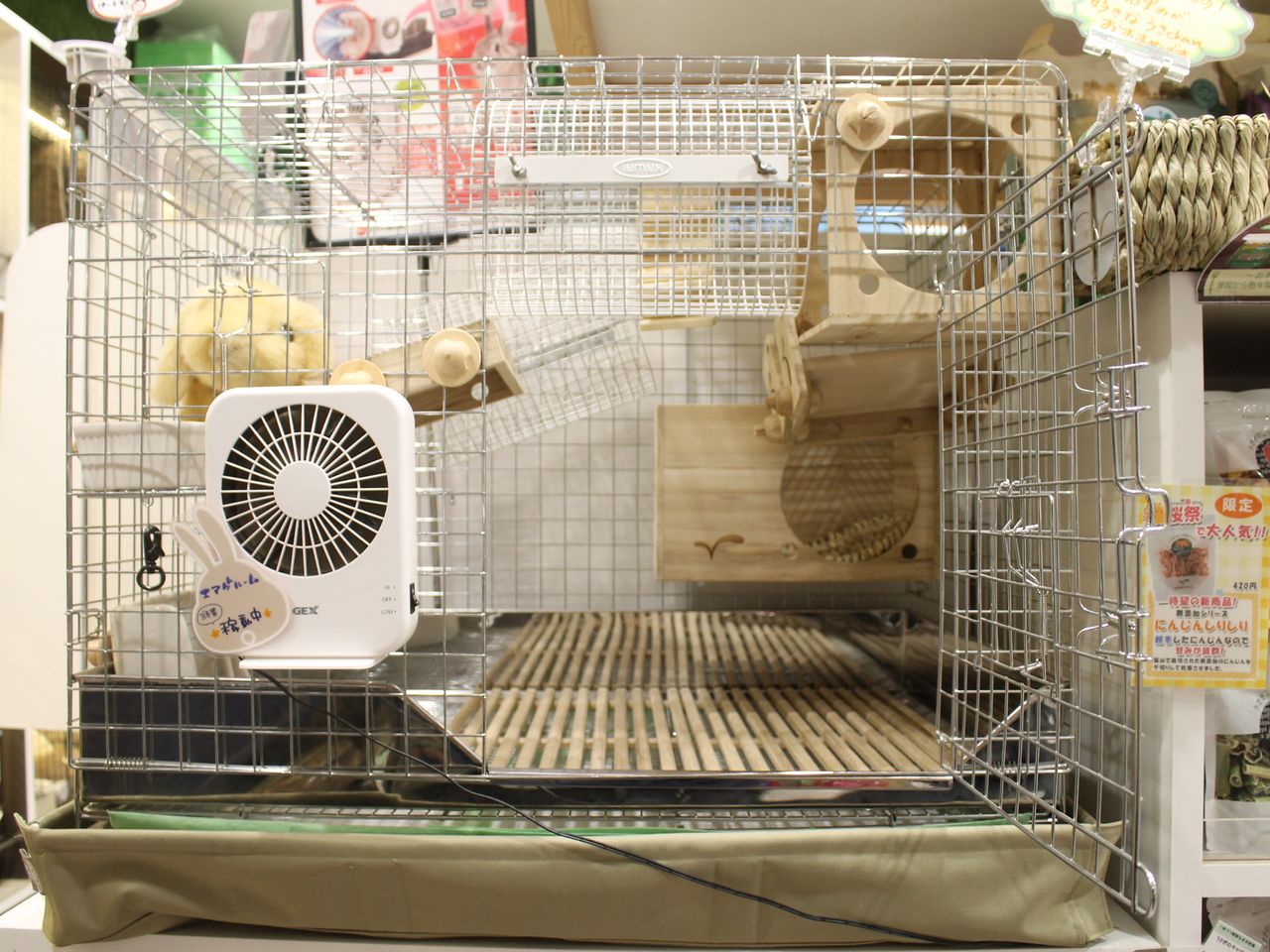 プロケージのすゝめ : うさぎブログ うさぎのしっぽ公式ブログ「日々