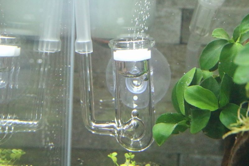 DOOA CO2システムキットを設置してみました : アクアマリン