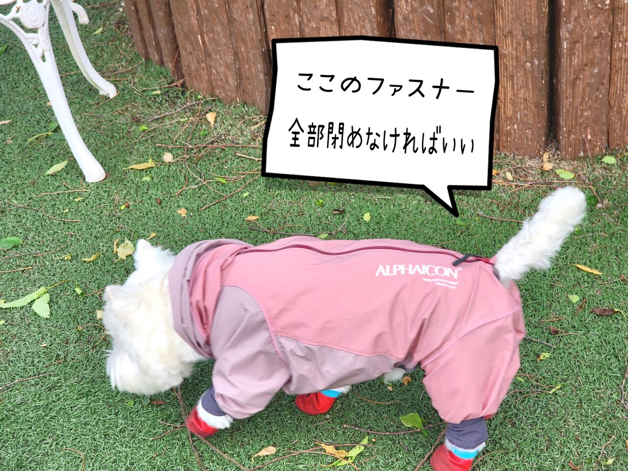 ⭐︎lihn0629ALPHAICON 犬用レインコート ピンク