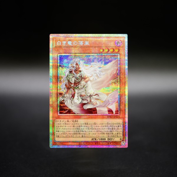 遊戯王 バーストプロトコル 黒き竜のエクレシア 白き竜の落胤 3枚