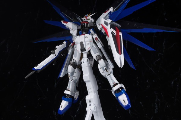 超合金 購入 ZGMF-X10A フリーダムガンダム Ver.GCP 機動戦士ガンダム
