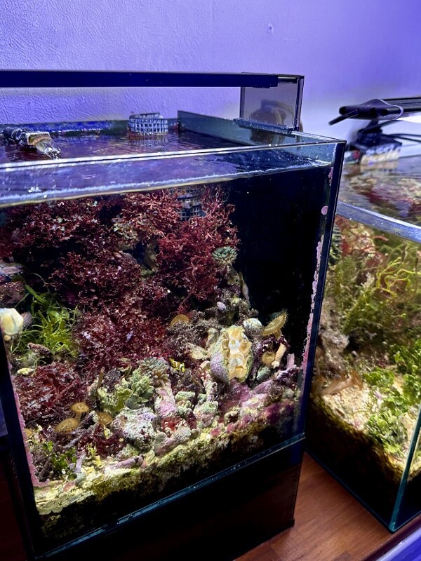 ジェックス グラステリアAGSスライド OF－230 ジェックス