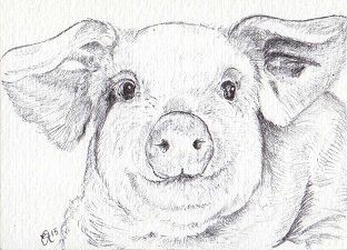 ボールペン画*豚さん : ワンルームの日常