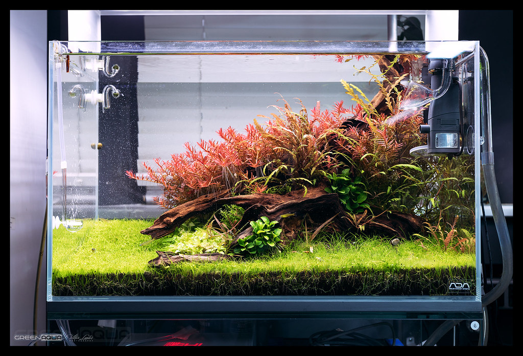 ADA AQUASKY MOON 601 照明器具 60cm アクアスカイムーン ADA AQUASKY