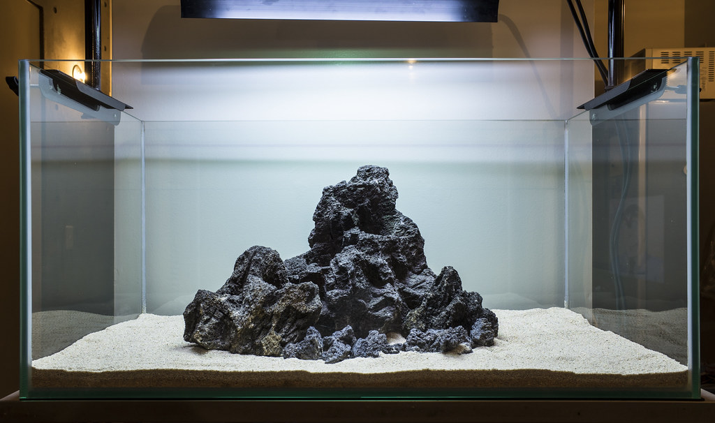 2[絶版]ADA雲山石3.5キロ☆穴3個 水槽 レイアウト アクアリウム 60