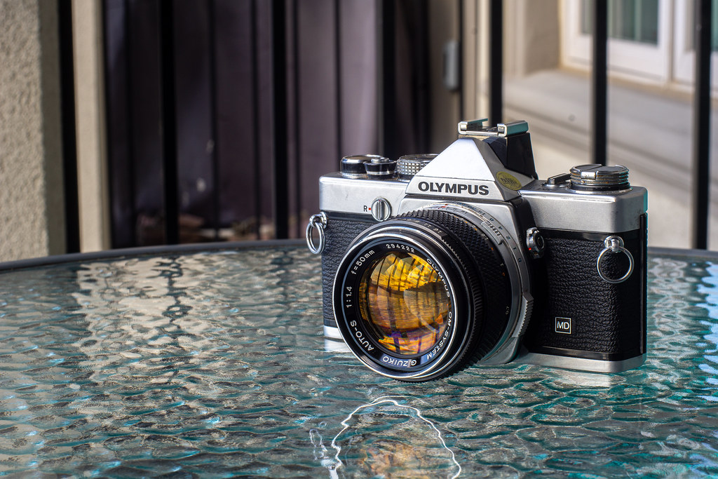 Camera Review Blog No. 50 – Olympus OM-1n – Alex Luyckx | Blog