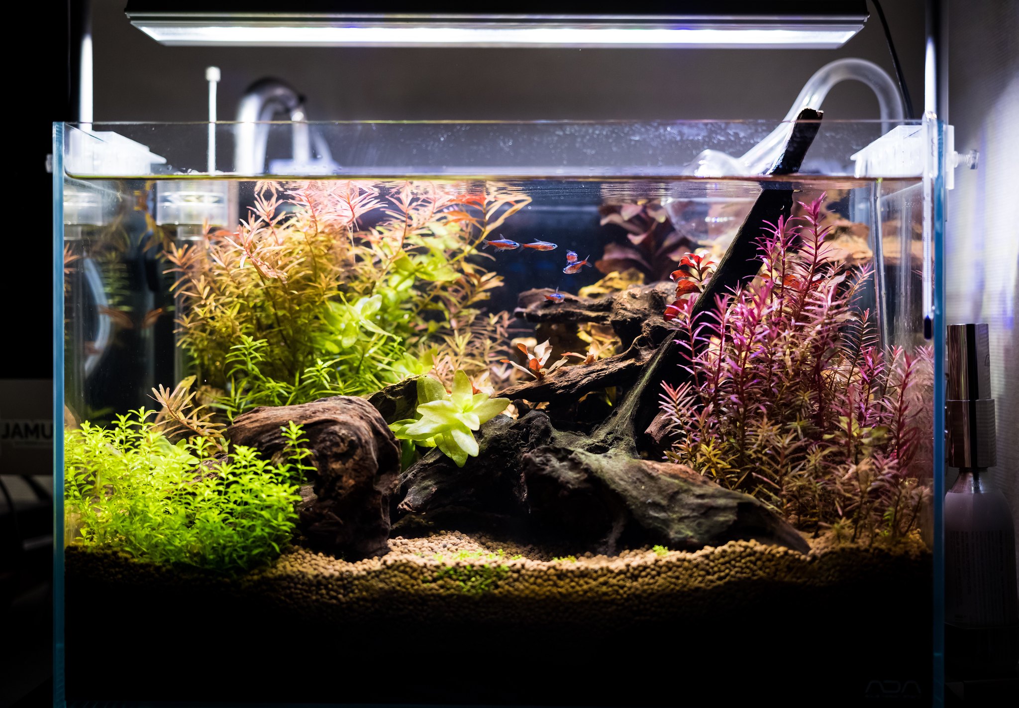 ADA 水槽 120cm 120x45x45 キューブガーデン ADA 水槽 120cm 120x45x45