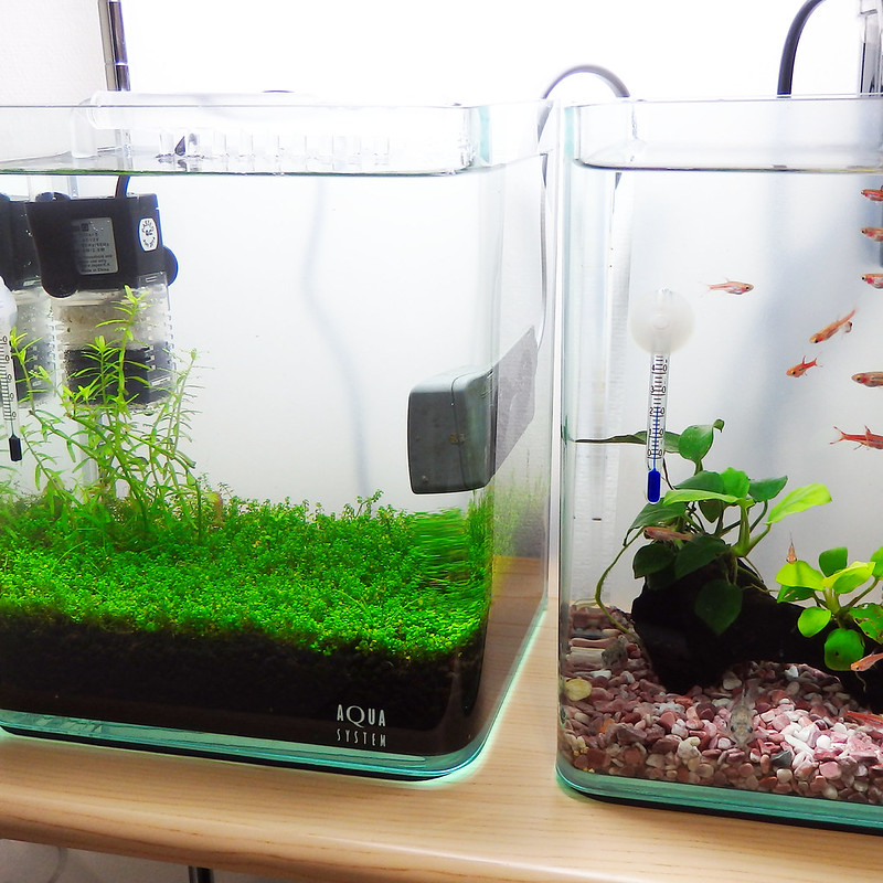 レビュー | ドウシシャ『ルミナス スペースラック』キッチンワゴンを