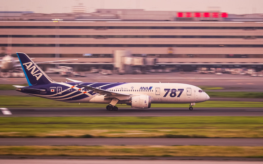 JA801A 全日空 ANA Boeing 787-8 Dreamliner | 787ドリームライナー初