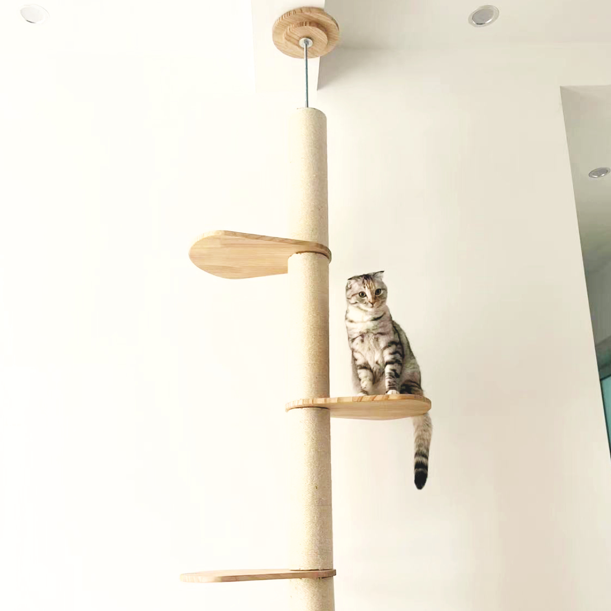 キャットタワー ねこぞく ブーレ 木製 突っ張り スリム （ キャット