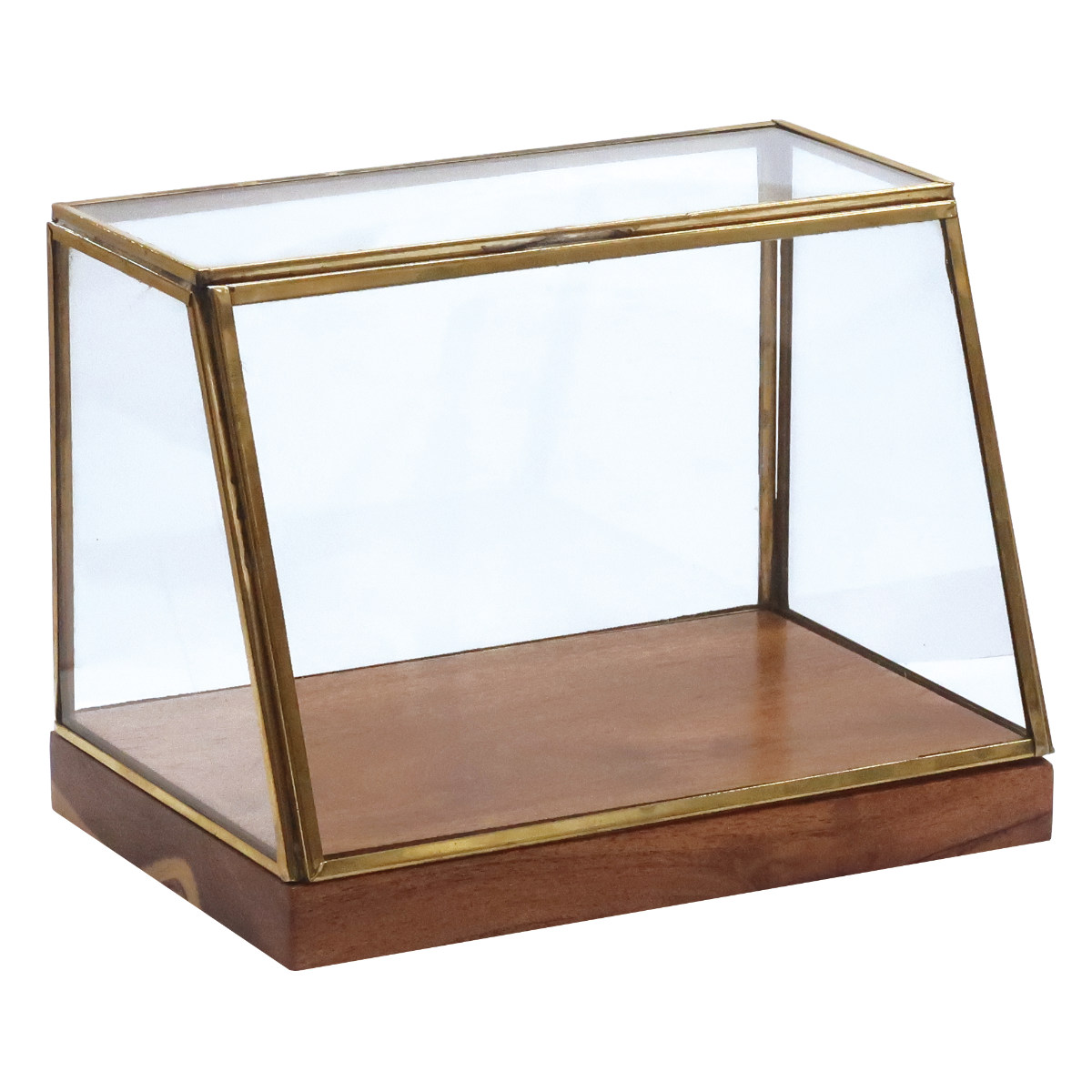 ショーケース アルテン ブラスショーケース L 天然木 アイアン