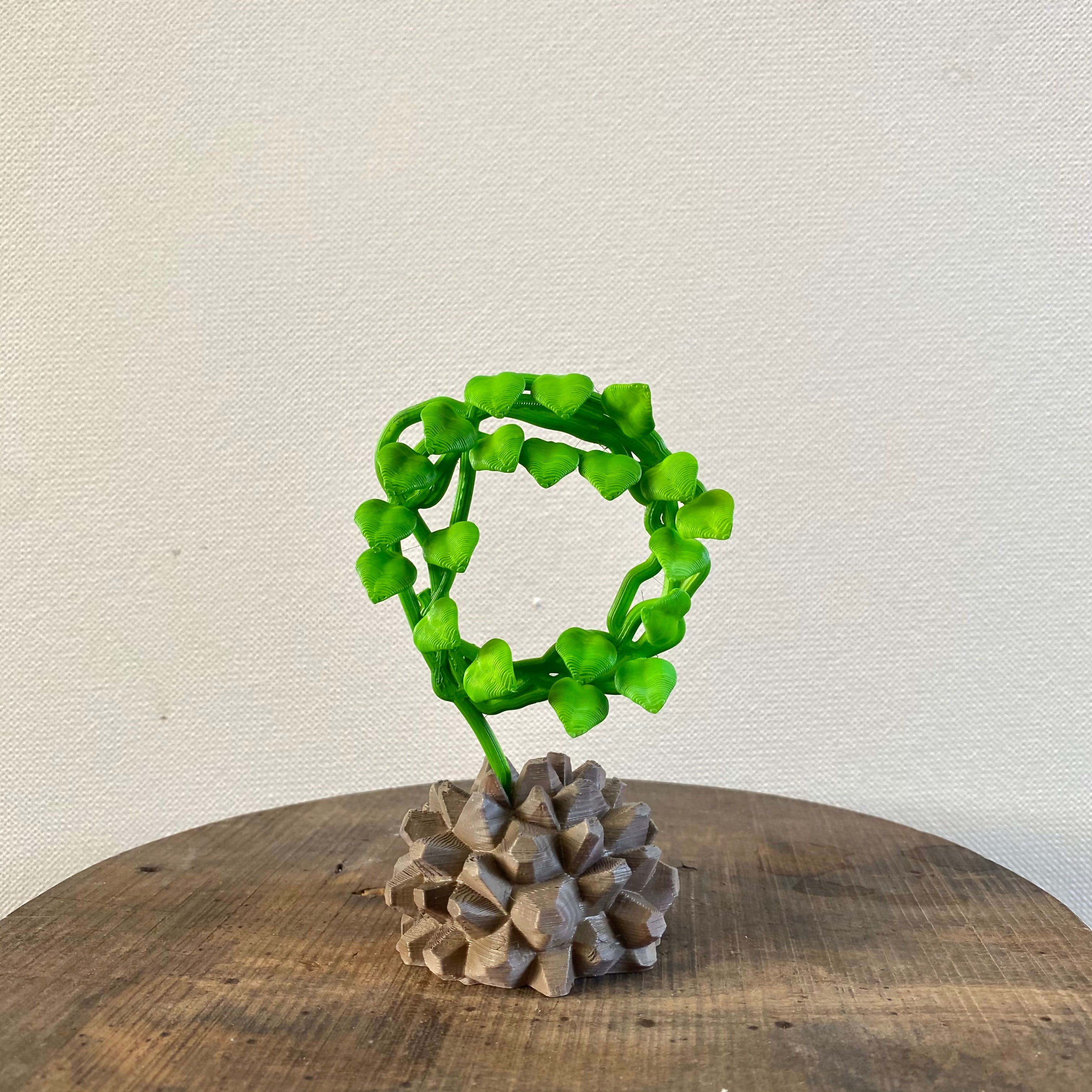 フルセット LOBINDON ×ミャクミャク グラキリス 亀甲竜 expo 塊根 フル